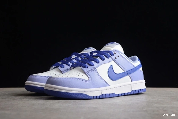 (GS) Dunk Blueberry Low Nike DZ4456-100 1123